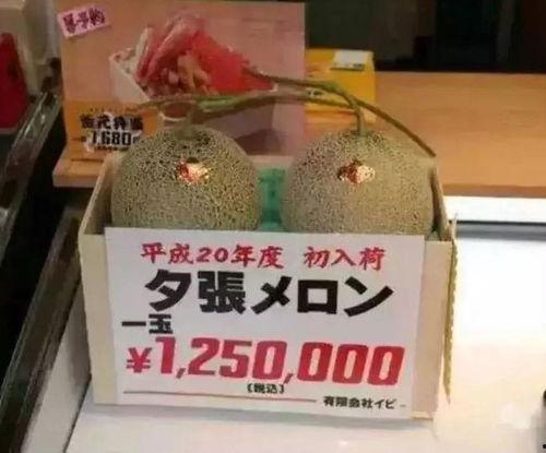 吃瓜群众休闲娱乐馆,一站式娱乐新体验